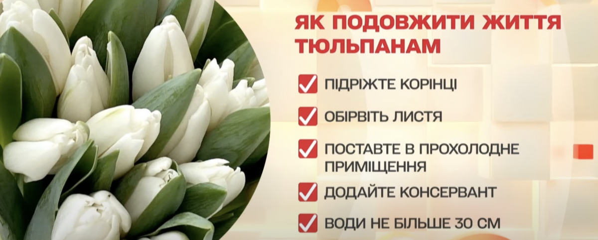 Как продлить жизнь цветам, поможет ли аспирин: лайфхаки флориста (видео) Как продлить жизнь цветам, поможет ли аспирин: лайфхаки флориста (видео)
