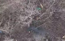Прятались под деревом: бойцы ВСУ передали два "подарка" россиянам под Бахмутом (видео)