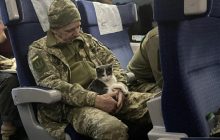 Мережу облетіло фото кота в обіймах військового у поїзді: ЗМІ дізналися його історію