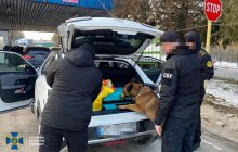 СБУ та ДБР проводять масштабні обшуки по всій вертикалі митниці (фото)