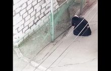 "Ловить прихід": в Мелітополі священника застукали за дивним заняттям (відео)