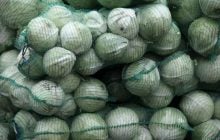 На украинском рынке подскочили цены на белокочанную капусту
