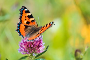 Стало известно, когда жара покинет Украину (карта)