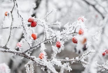 Синоптик розповіла, коли до України прийде потепління