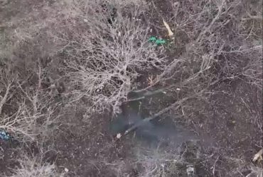 Ховалися під деревом: бійці ЗСУ передали два подарунки росіянам під Бахмутом (відео)