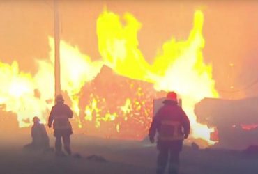 В Чили бушуют лесные пожары, под угрозой самый маленький в мире олень (видео)