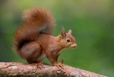 До кінця квітня на українців чекає похолодання: де і коли впаде температура (карта)