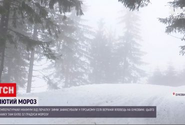 Невероятный холод на Буковине: 32 градуса мороза