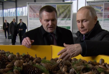 Путин выбрался из бункера, чтобы потрогать шишки в Поморье (видео)