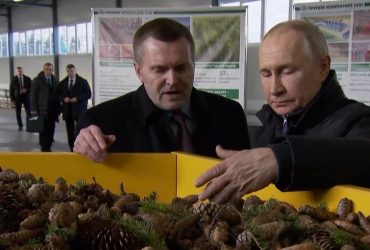 Зачем Путин трогал шишку и почему это принесло ему такое удовольствие