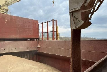 Евросоюз готовит пошлины на зерно из России и Беларуси, – FT
