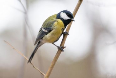 Синоптик удивила прогнозом на 19 декабря: местами погода будет непривычной