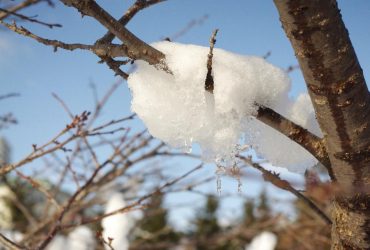 Синоптики назвали точну дату, коли в Україні знову буде плюс