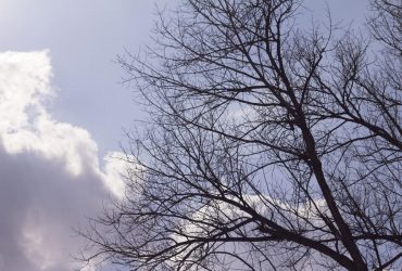 На вихідних погода в Україні зміниться (карта)