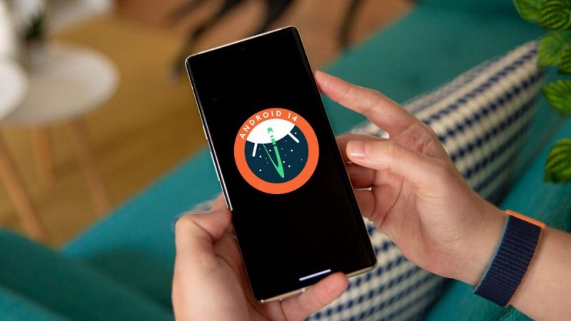 Android 14 позволит «разобраться» с неудаляемыми приложениями / фото Google Android 14 позволит «разобраться» с неудаляемыми приложениями / фото Google