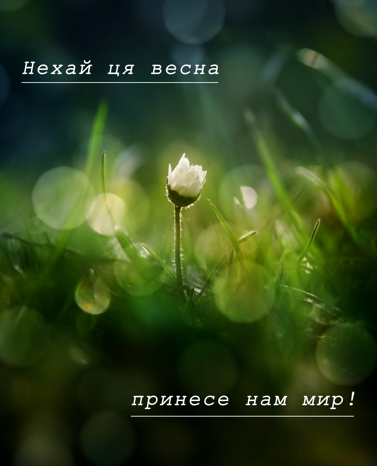 Найкращі привітання з першим днем весни в картинках і віршах Рівняни 