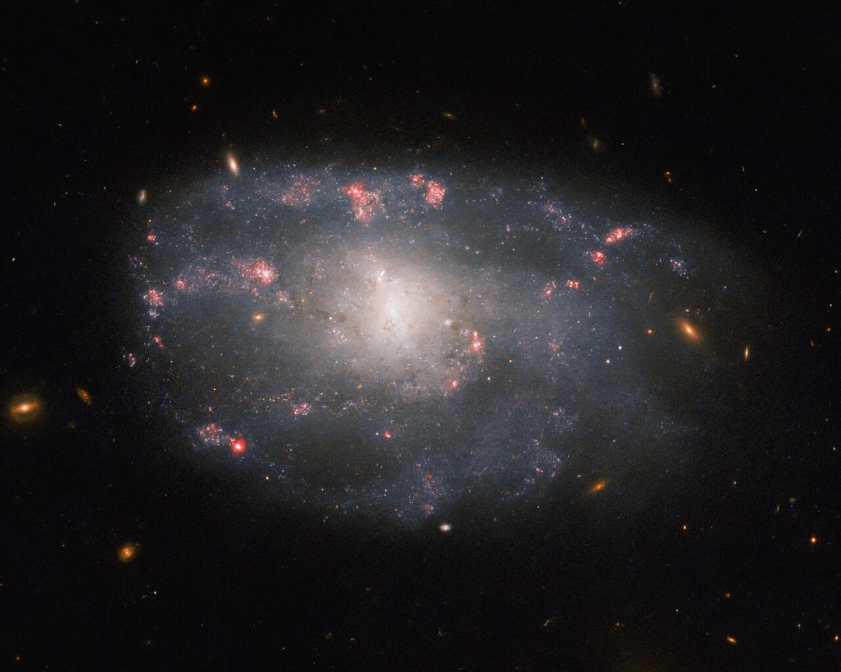 "Направильная" галактика находится в созвездии Большой Медведицы / фото ESA/Hubble & NASA, C. Kilpatrick "Направильная" галактика находится в созвездии Большой Медведицы / фото ESA/Hubble & NASA, C. Kilpatrick