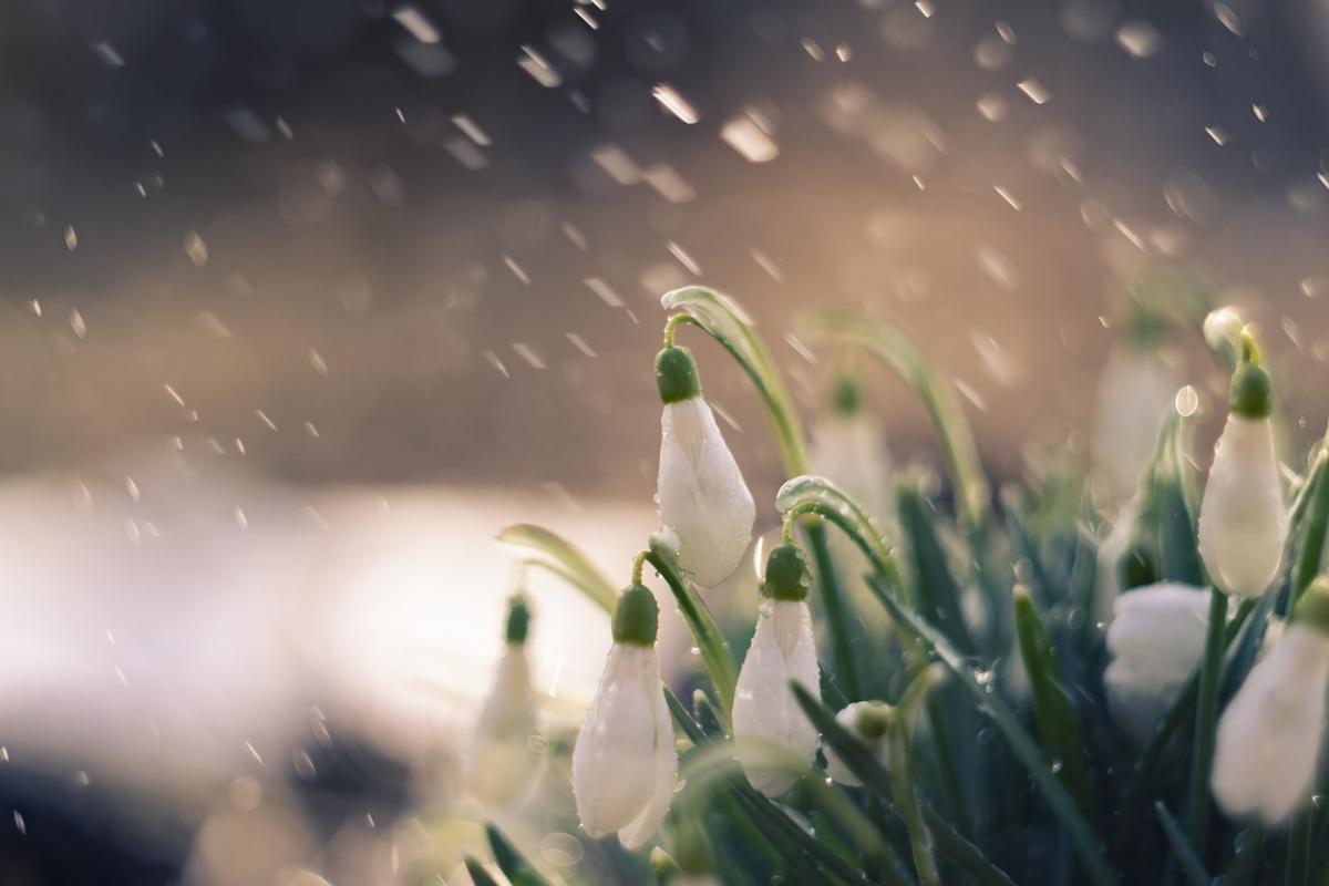 12 марта часть Украины накроют дожди и мокрый снег / фото MECO, Pixabay