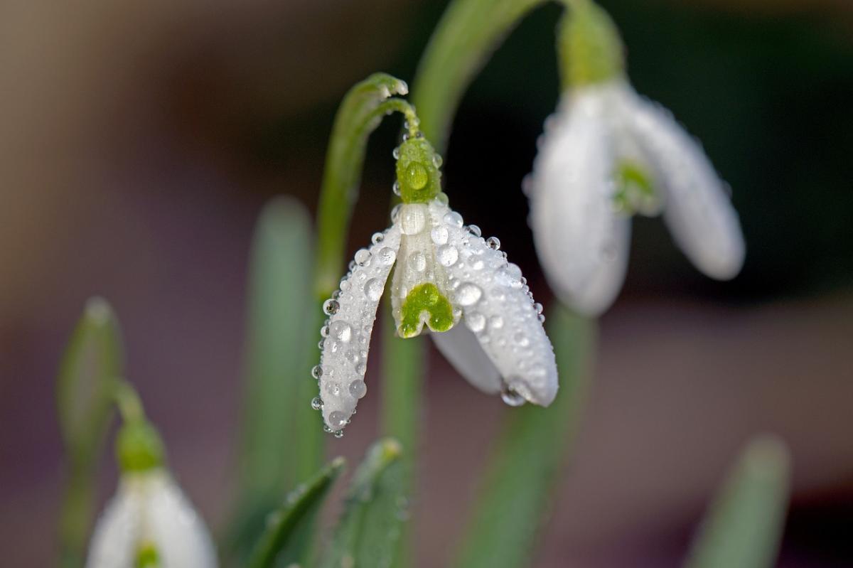 На выходных в Украине будет тепло / фото DR. Georg Wietschorke, Pixabay На выходных в Украине будет тепло / фото DR. Georg Wietschorke, Pixabay