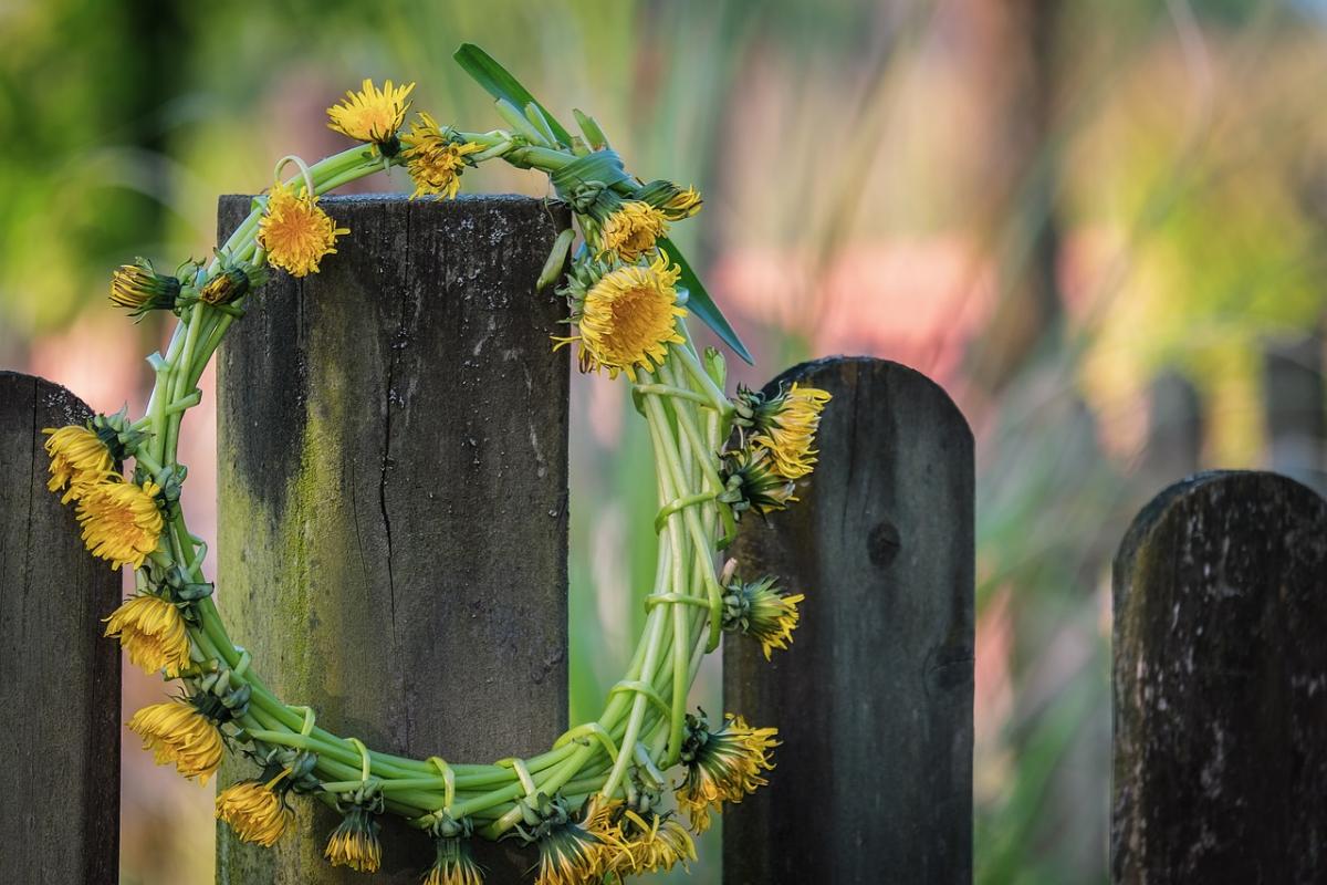3 травня в деяких областях України стане прохолодніше / фото Couleur, Pixabay 3 травня в деяких областях України стане прохолодніше / фото Couleur, Pixabay