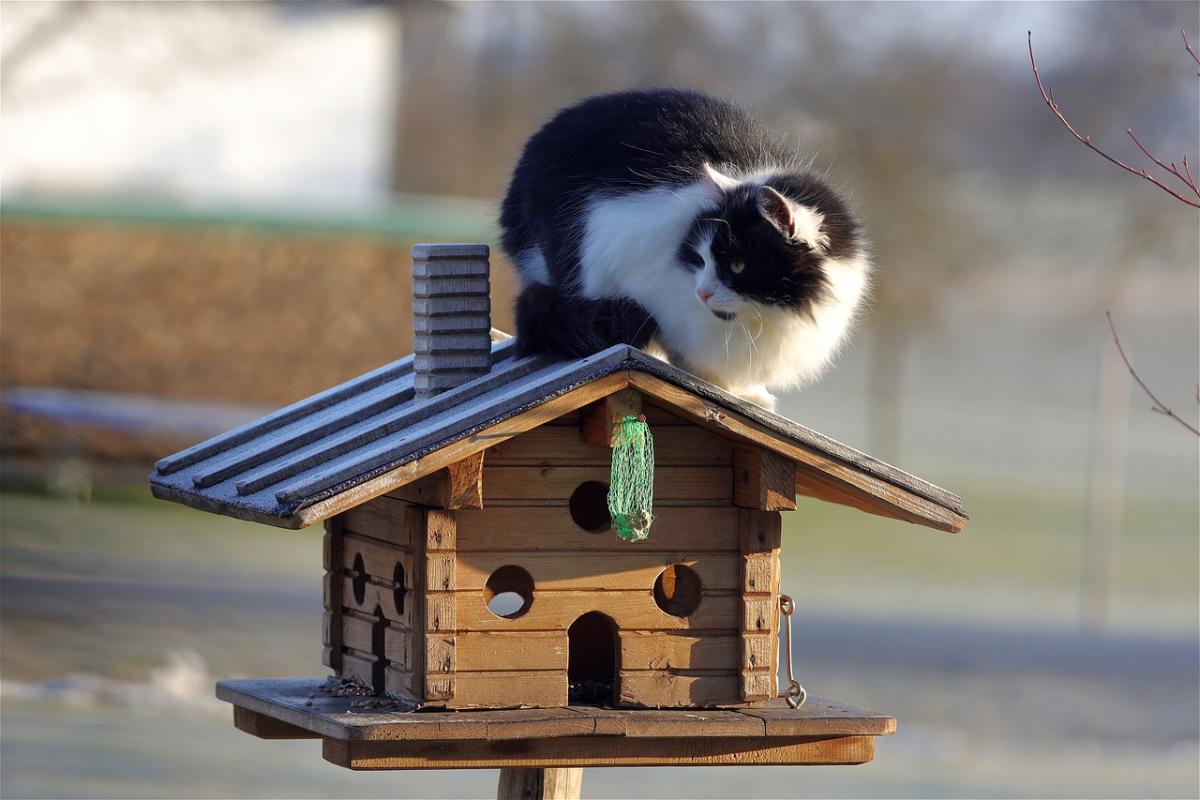 Сегодня в Украине будет очень тепло / фото Franz W, Pixabay