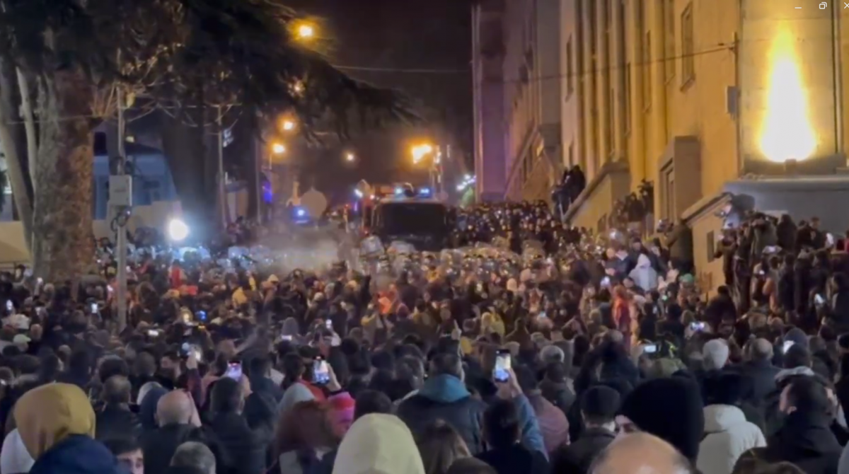 У Грузії масові протести через закон про "іноагентів", учасників жорстко розганяють / скриншот