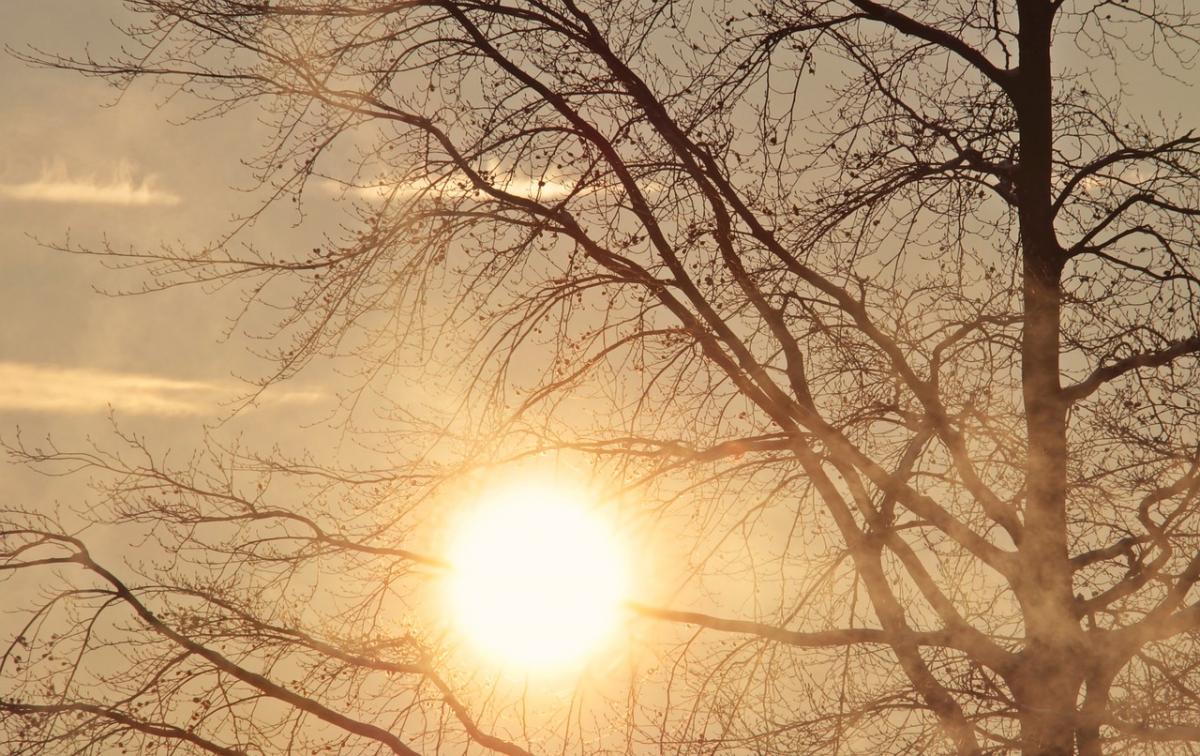 Signs for March 20 / photo NoName_13, Pixabay Signs for March 20 / photo NoName_13, Pixabay