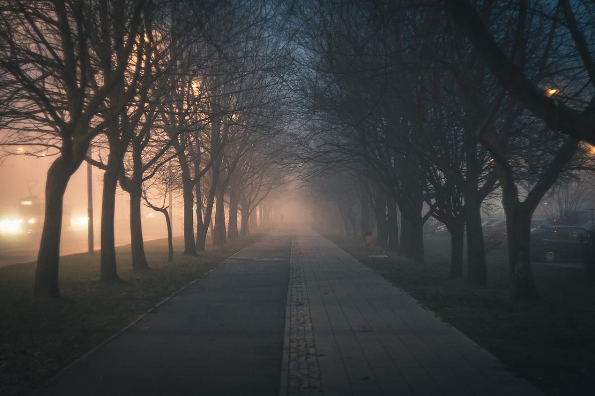 На западе Украины будет густой туман / фото RealAKP, Pixabay
