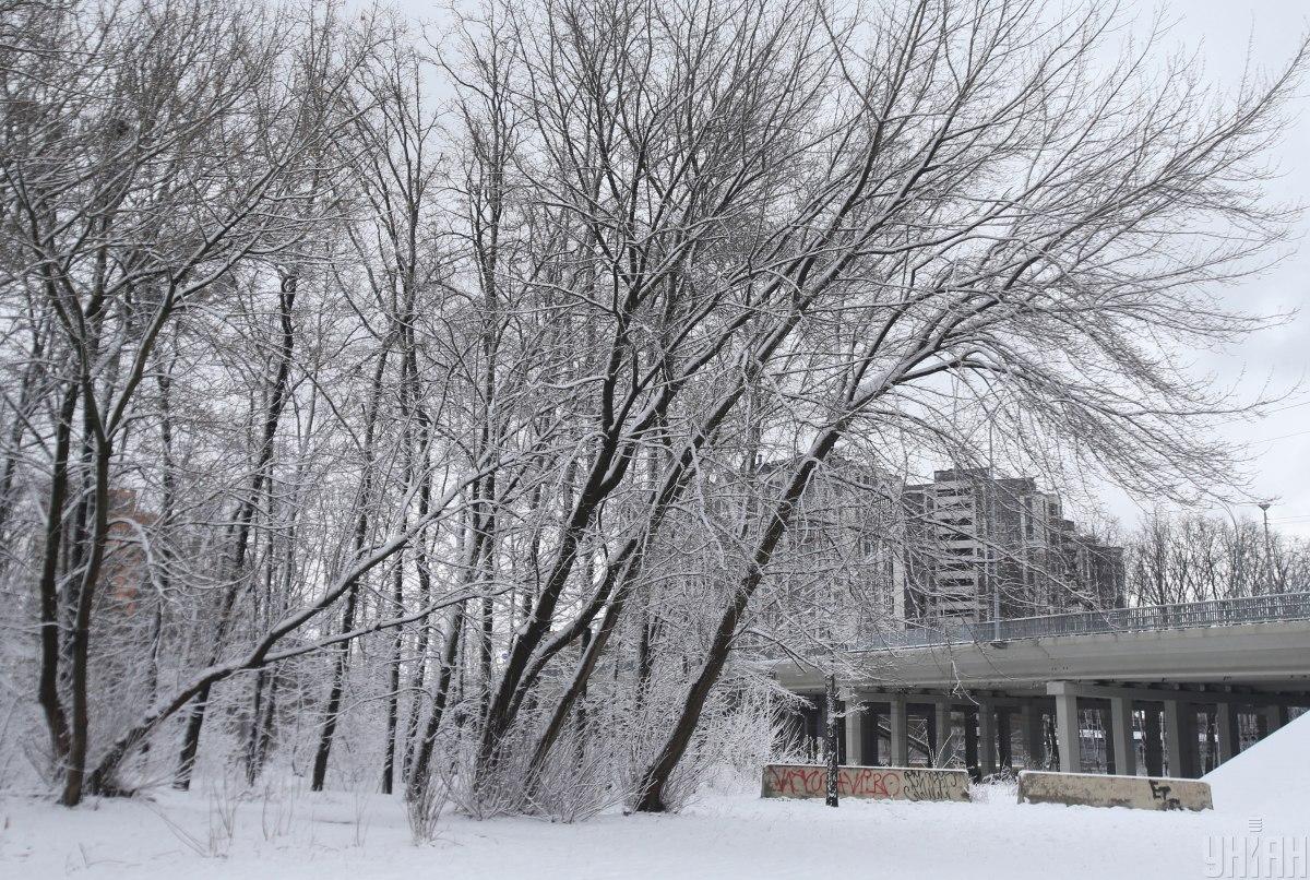 16 січня у Києві буде невеликий мороз / фото УНІАН, Олександр Синиця 16 січня у Києві буде невеликий мороз / фото УНІАН, Олександр Синиця