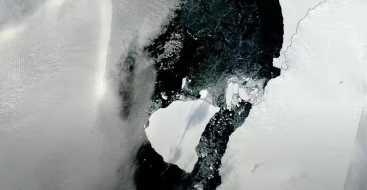 Около берегов Антарктиды дрейфует гигантский айсберг / скриншот из видео