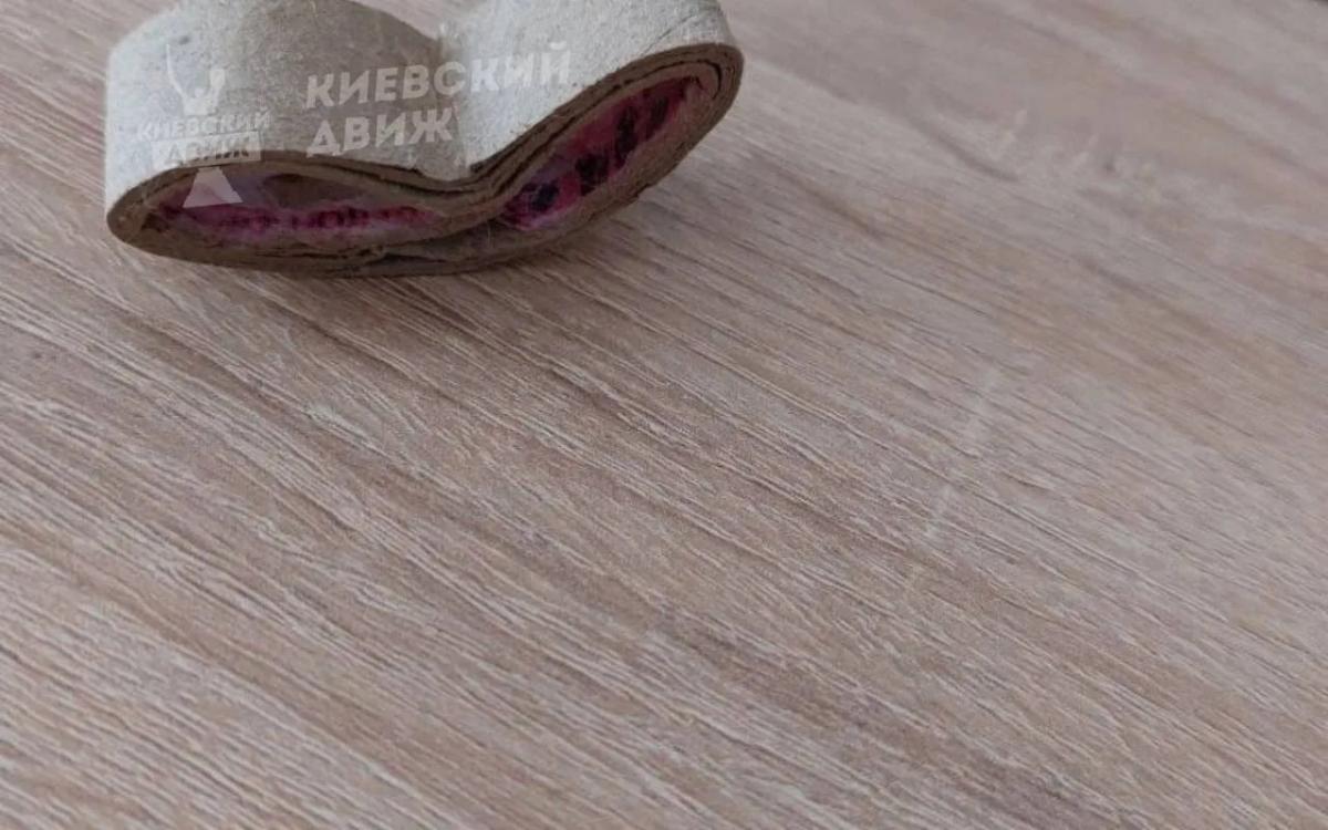Кусок картона перепутали со змеей / скриншот Кусок картона перепутали со змеей / скриншот