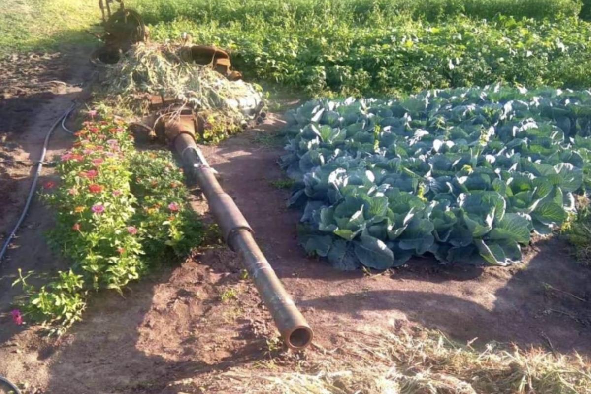 Російський танк на українському городі / фото facebook Luydmila Nishenko