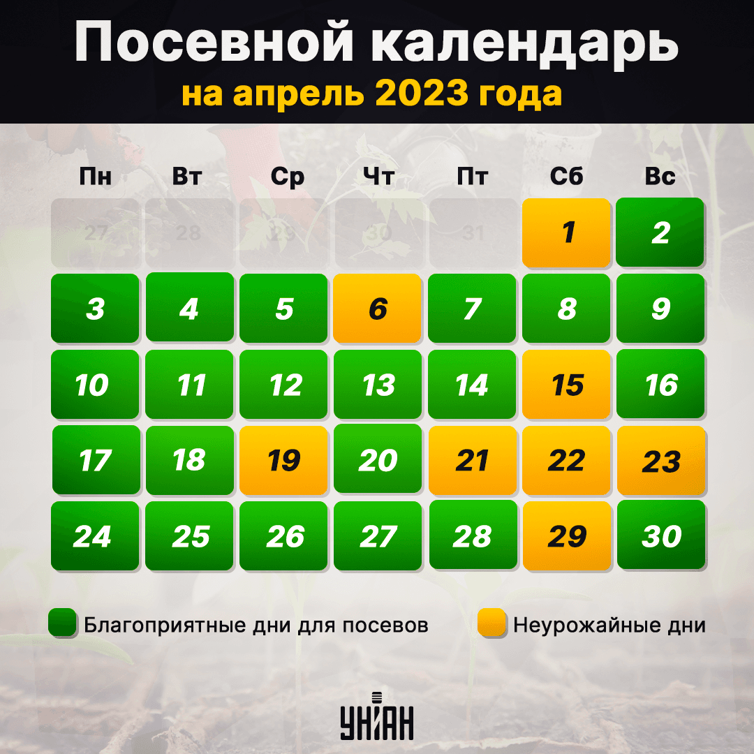 Посевной календарь на апрель 2023 / инфографика УНИАН Посевной календарь на апрель 2023 / инфографика УНИАН