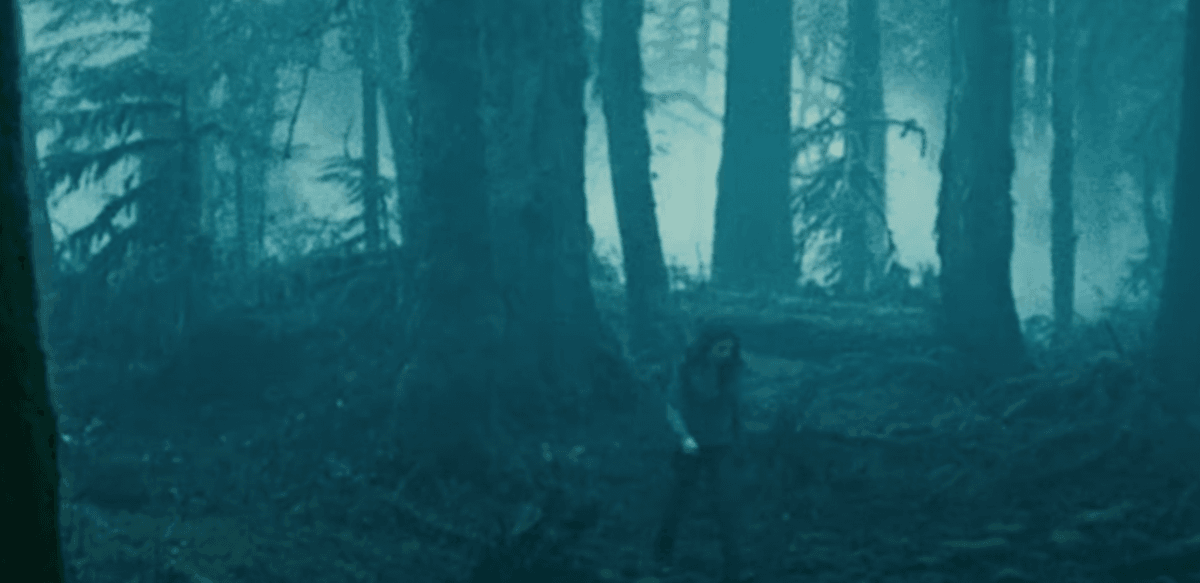Screenshot from the movie Screenshot from the movie