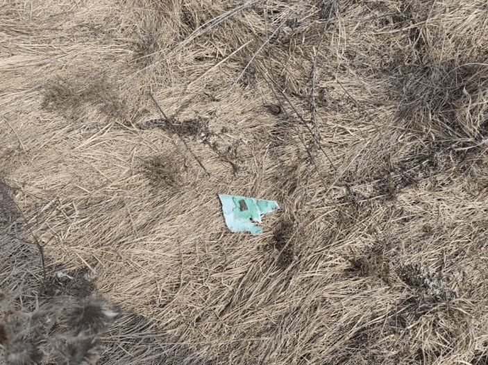 Los defensores de Ucrania derribaron un dron enemigo / foto t.me/ok_pivnich1