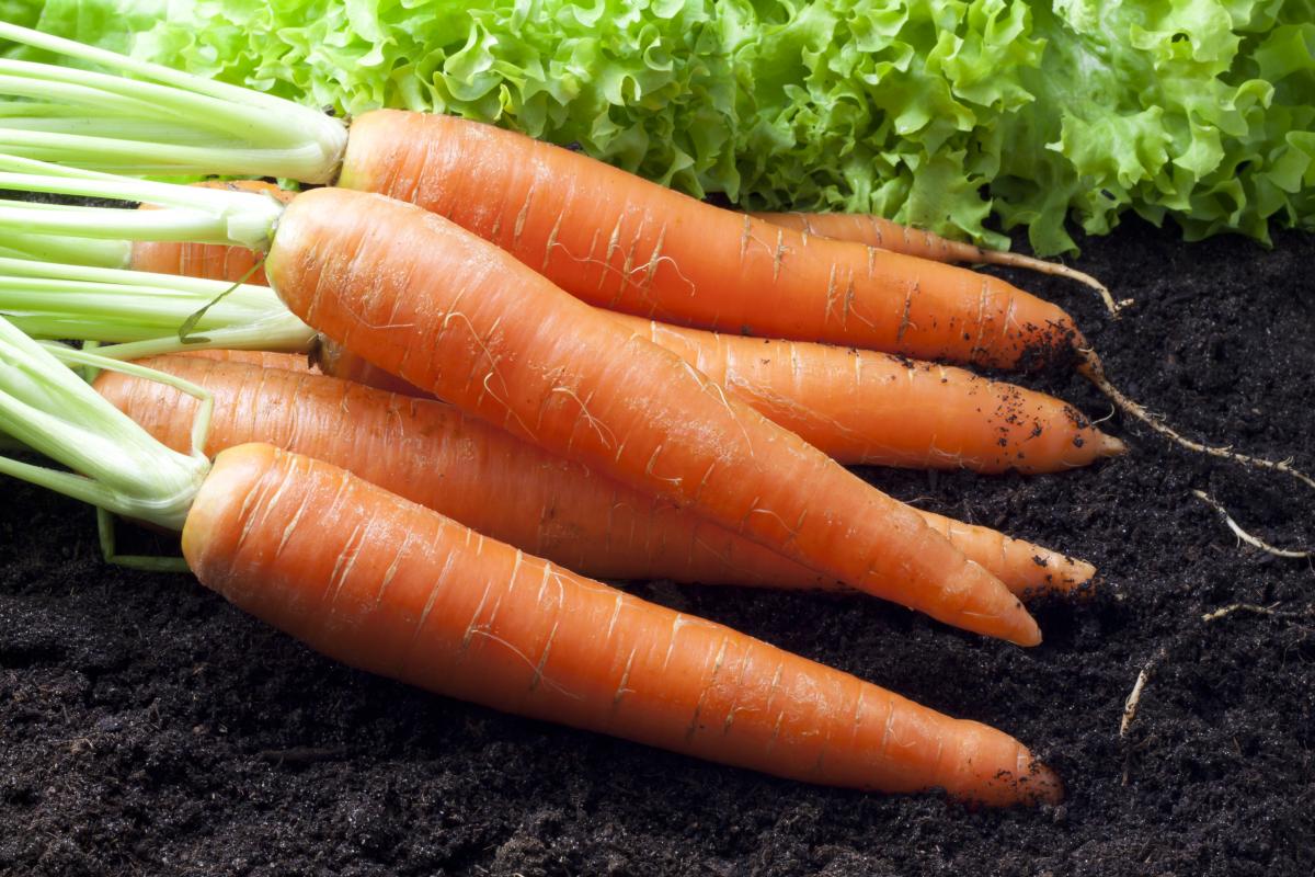 Эксперты связывают снижение отпускных с перенасыщением рынка продукцией / фото ua.depositphotos.com Эксперты связывают снижение отпускных с перенасыщением рынка продукцией / фото ua.depositphotos.com