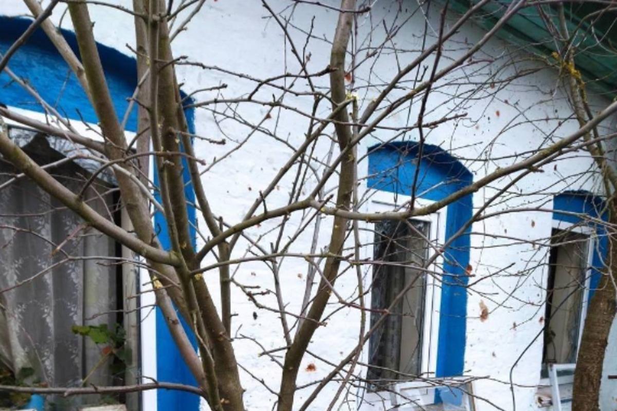 Враги сегодня били по Черниговской области / фото t.me/ok_pivnich1 Враги сегодня били по Черниговской области / фото t.me/ok_pivnich1