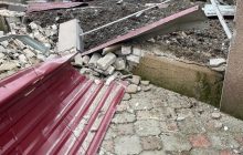 На привязи возле ракетной воронки: в Херсоне спасли "пса-жертву" агрессии РФ (фото)