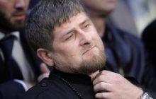 В Чехии похитили элитного жеребца Кадырова