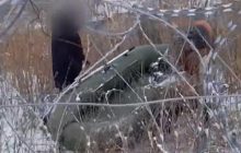 Спецслужбы Беларуси нагло помогают нелегалам попасть в Польшу: появилось видео