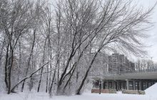 Сегодня в Киеве весь день будет мороз