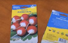 Редиска "Азовсталь" і кабачок "Привид Києва": мережа "закипає" через назви українського насіння (відео)