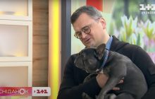 Глава МИД Украины пришел на эфир со своим псом, спасенным из Мариуполя (фото, видео)