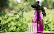 Как использовать марганцовку в огороде: эти лайфхаки дачникам стоит брать на заметку