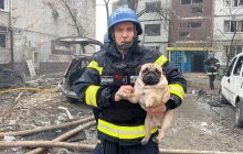 В Запорожье спасатели вынесли из очага опасности мопса (фото)