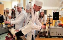 У Києві викладача університету звинуватили у катуванні тварин на заняттях (фото)