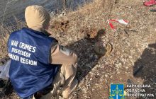 Вже готується перший тендер: уряд хоче залучати приватні компанії для розмінування