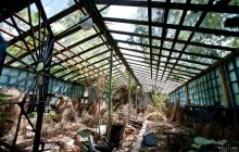 Марганцівка чи "м'який" препарат: як обробити теплицю з полікарбонату навесні