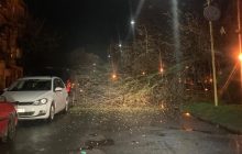"Гул був страшний": буревій наробив лиха в Ужгороді (фото)