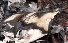 Нічне полювання на іранські дрони: українські прикордонники показали уламки збитого "Шахеда" (відео)